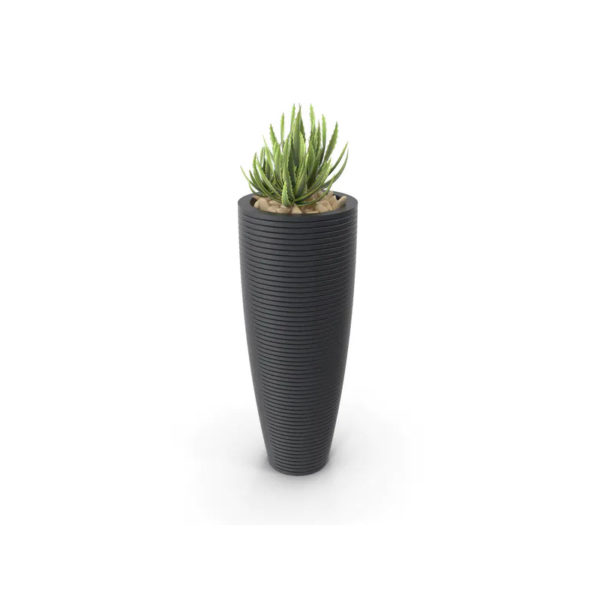 Green Tall Plant
